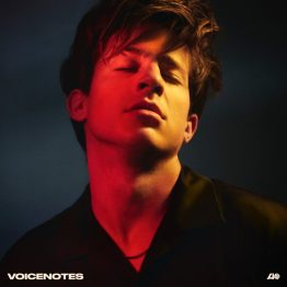 voicenotes-1030x1030